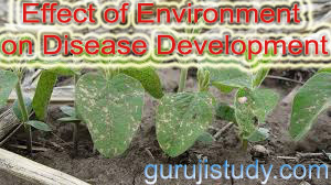 BSc 2nd Year Effect of Environment on Disease Development Notes Study Material